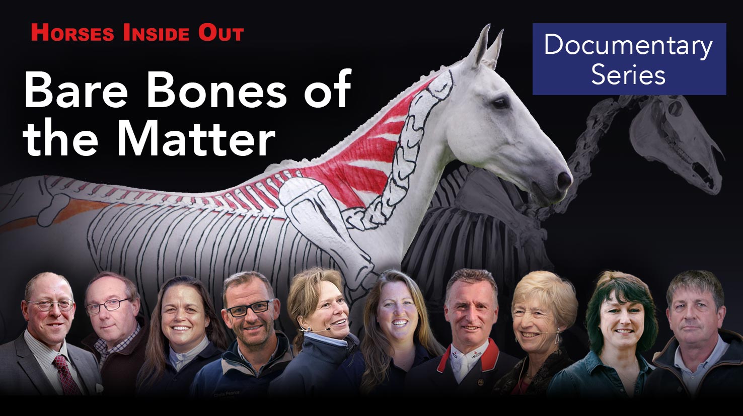 Bare Bones of the Matter