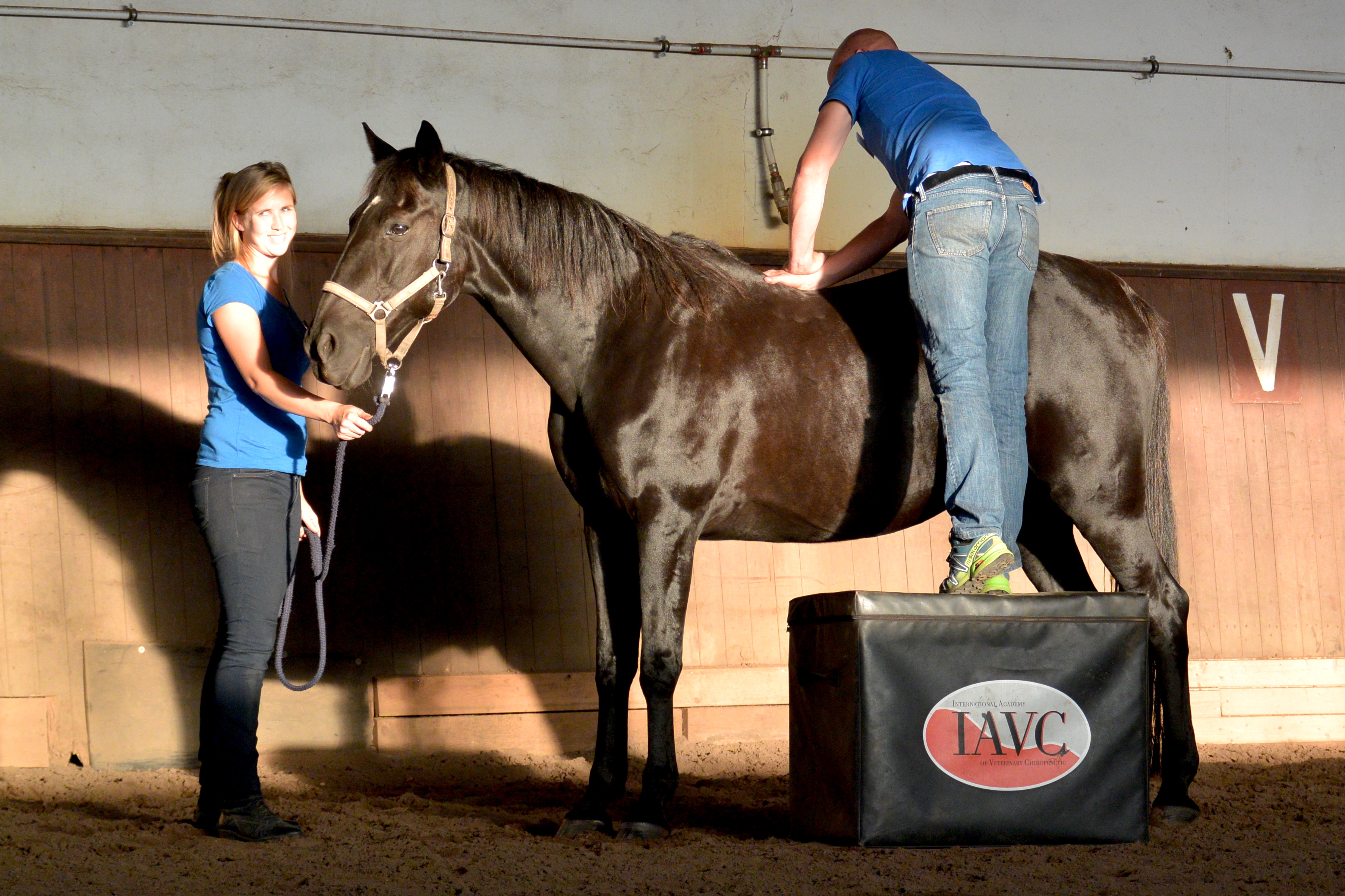 Equine Advanced Clinical Applications – Emphasis on Thoracolumbar